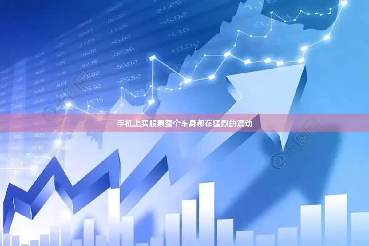 手机上买股票整个车身都在猛烈的震动