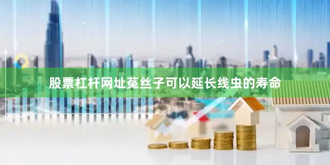 股票杠杆网址菟丝子可以延长线虫的寿命